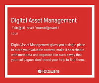 DAM Dictionary - DAM.png